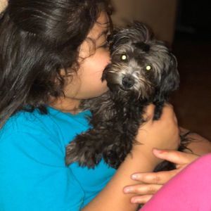 Meet your Posher, Kathy